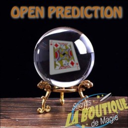 Open Prediction en français - Téléchargement immédiat