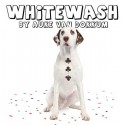 WhiteWash (A. Van Dokkum) - En français
