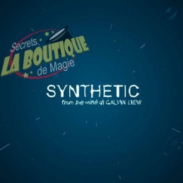 Synthetic en français - Téléchargement immédiat