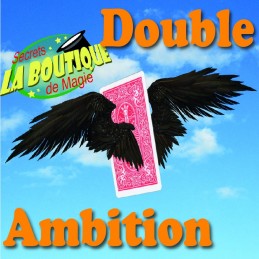 Double ambition