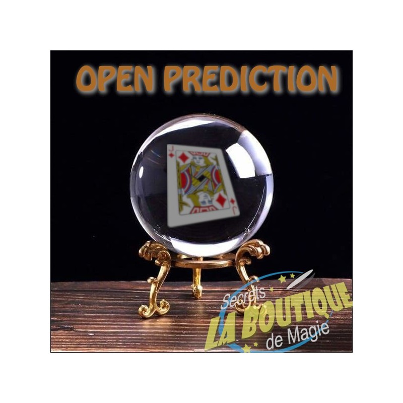 Open Prediction en français - Téléchargement immédiat
