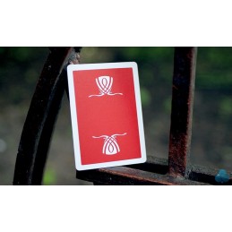 Bee Wynn casino poker deck