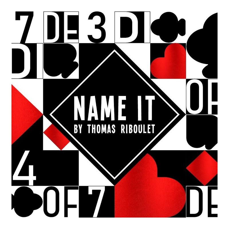 Name it !  en français - Thomas Riboulet