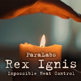 Rex ignis - En français !!