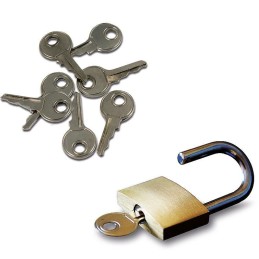 The Lucky Lock