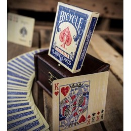 bicycle fadded rider back