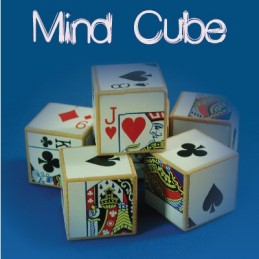 Mind Cube (5)