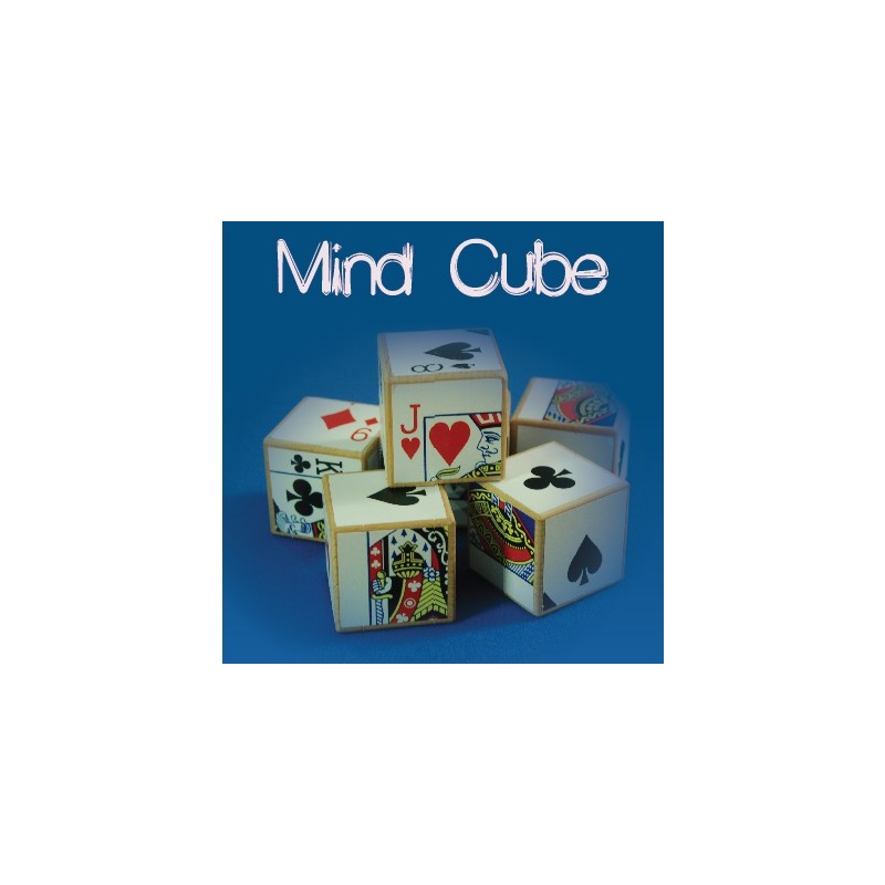 Mind Cube (5)