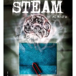 Steam - Ali Nouira (mode d'emploi)