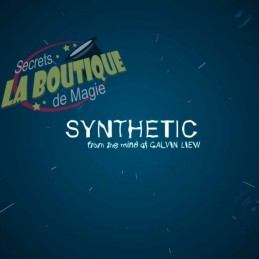 Synthetic en français -...