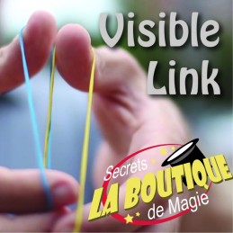 Visible link - Téléchargement immédiat